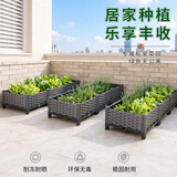 田田绿家庭阳台种菜盆长方形蔬菜种植箱楼顶种菜箱屋顶菜园大号花盆花箱 2联长80宽40高22
