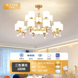 斯迈欧灯具现代轻奢欧式吊灯客厅灯网红2025年新款餐厅主灯全屋套餐组合 高亮大灯珠-金-15头-三色调光