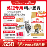 皇家美短成猫粮 ASA31 通用粮 12月以上 10KG