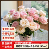 京东鲜花【粉色加白色】玫瑰各10枝如意基地鲜花插花生活礼品山东源头直发