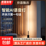 落地灯ins简约北欧led客厅现代轻奢卧室台灯床头灯墙角护眼氛围灯 【插电100CM】按键暖光