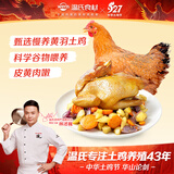 温氏供港黄油鸡净重2斤 120天 冷冻黄油母鸡农家土鸡整鸡 炸鸡鸡肉
