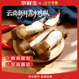 京鲜生云南【新鲜露水鸡枞】净重1斤菌菇野生菌煲汤火锅食材源头直发