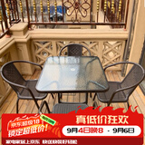 紫叶户外桌椅组合 阳台桌椅 现代简约 庭院露天铁艺休闲桌椅餐桌藤椅 4【椅】+1【方桌有孔 80X80】