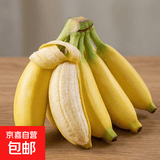 苹果蕉新鲜广西香蕉自然熟芭蕉香甜粉糯万澄现摘生鲜现发水果 带箱2斤【4-8根】