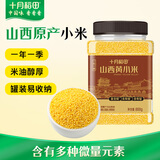 十月稻田 山西黄小米 800g 山西原产 小米杂粮 小米黄小米 早餐粥
