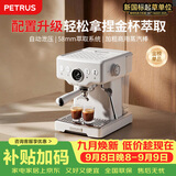 柏翠(petrus) 咖啡机意式浓缩家用小型半自动蒸汽打奶泡PE3833海盐小方