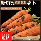 河南新鲜带泥胡萝卜农家水果萝卜应季早餐蔬菜红薯营养减脂食品 胡萝卜3斤净重 200g+/支