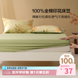百丽丝水星家纺出品全棉床笠纯棉床单床笠罩单件全包床笠床垫保护套