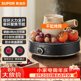 苏泊尔（SUPOR）迷你电陶炉 煮茶器煮茶炉煮茶壶 养生围炉煮茶泡茶办公家用不挑器具SW-DTL05