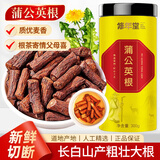 修年堂蒲公英根茶300g/罐  长白山蒲公英大根茶 婆婆丁根 养生茶