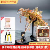 拼酷花间伞 3d立体金属拼图diy手工拼装玩具家居摆件生日中秋节礼物 扶摇+轻便工具