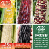 寿禾 超甜水果玉米种子大全紫糯黑甜糯可生食粘甜种孑秋冬季寿光蔬菜 5种玉米种子