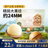 三只松鼠夏威夷果500g约24-26mm儿童每日坚果炒货休闲零食团购送礼