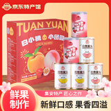 白小桃集安白桃罐头东北黄桃山楂水果整箱即食休闲零食果干吉林特产礼盒 白桃+黄桃+山楂【小团圆礼盒】