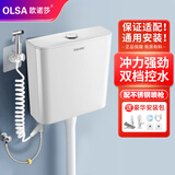 欧诺莎（Olsa） 冲厕所水箱抽水马桶蹲坑蹲便冲便器静音蹲便式卫生间水箱冲便器 不锈钢喷枪套装【+安装包4件套】