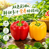 京鲜生【美食大赛同款】山东双色彩椒净重3斤装单果160g+柿子椒源头直发