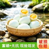 鄱湖鸭舍【富硒+无抗】正宗鄱阳湖谷物新鲜麻鸭蛋散养新鲜土鸭蛋批发 【富硒+无抗】60-70g*20枚【推荐】