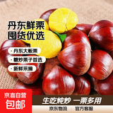 京喜加丹东新鲜板栗糖炒栗子原料糯甜板栗可生吃新鲜蔬菜生鲜 丹东鲜板栗 4斤 囤货装