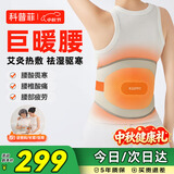科普菲【中秋节礼物】腰部热敷理疗仪护腰带 加热保暖艾灸祛湿腰椎突出腰肌劳损腰疼按摩器W14送父母长辈