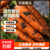 《东东买菜》新鲜现挖脆甜带泥胡萝卜红萝卜新鲜蔬菜咸菜泡菜 带泥胡萝卜 9斤  含箱