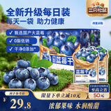 三只松鼠每日蓝莓干256g/16包 无添加水果干果脯小包装儿童老人办公室零食