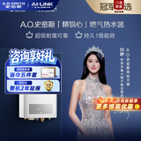 史密斯（A.O.SMITH）燃气热水器【门店爆款】JSLQ28-ACE全精钢心天然气热水器 家用一级能效热水器 以旧换新 16L 咨询客服有惊喜 同城官方门店速配