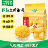 十月稻田 黄小米 1kg 真空袋装 杂粮 早餐粥米 五谷杂粮 粗粮 2斤