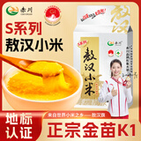 赤川敖汉黄小米4斤 金苗k1-S系列（内蒙古赤峰小米粥杂粮粥）小米