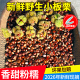 板栗生新鲜2026年新鲜野生小毛栗子板栗生油栗江西小板栗送剥栗器 2500g 【送剥栗器】2026新鲜野生小板栗