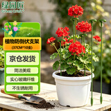绿园匠花卉爬藤架植物防倒伏支撑杆玻纤固定盆栽护花叶花支架37厘米10支