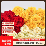 京东鲜花【随机玫瑰小盒】40枝随机2-4颜色日常悦己礼物山东基地源头直发
