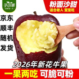 于小乖甘肃天水花牛粉面苹果婴儿刮泥老人孕妇粉糯红蛇苹果(需放粉) 带箱3斤小果（净重2.5斤需放粉）