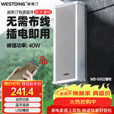 威斯汀吸顶音响家庭影院壁挂式喇叭户外防水有源音柱5002一个 学校商用超市店铺公共广播音箱峰值功率40W