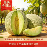 京鲜生 冰淇淋网纹蜜瓜 1粒装 单果2斤起 生鲜水果