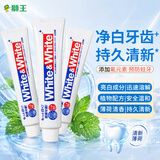 狮王（Lion）大白牙膏防蛀牙齿清新口气White去黄去渍小苏打150g*3支日本进口