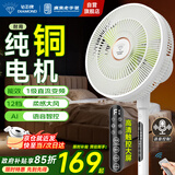 钻石牌落地扇家用电风扇【1级能效+直流变频+纯铜电机】摇头扇强劲风力省电电扇AI语音遥控DFS-ZBHR07