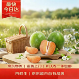 京鲜生 翡翠青柚 红心柚 2粒装 单果1.5斤起 生鲜柚子水果