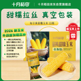 十月稻田 【新玉米·品种升级】黄甜糯玉米 10根 4.4斤 东北杂粮 中秋礼盒
