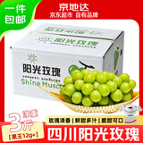 京地达西昌阳光玫瑰葡萄净重3斤单果12g+精品晴王新鲜水果源头直发包邮