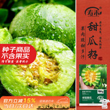 寿禾绿宝石甜瓜种子苗脆甜香瓜春季水果种籽 绿宝甜瓜种子50粒*2袋