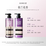 夏伯雅莲新升级 2.0依兰香多肽精油洗发水666g氨基酸控油去屑男女蓬松 2.0依兰花洗发水+同香柔顺护发乳