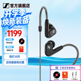 森海塞尔（Sennheiser）IE900/IE600/IE300旗舰级HIFI高保真超宽单动圈单元可拆卸MMCX挂耳式耳机 高保真发烧有线耳机耳塞 IE300 【进阶HIFI高保真】