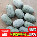 挂霜翠玉高原迷你冬瓜现摘新鲜蔬菜清新刮油减脂减肥 云南翠玉冬瓜带箱9斤 8.5斤 净重