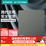 西门子（SIEMENS） 开关插座面板 五孔86型墙壁电源插座官方旗舰 皓彩深灰银色 空白面板