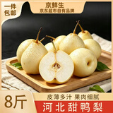 京鲜生河北特产水晶甜鸭梨 净重8斤 单果200g+ 生鲜水果 源头直发