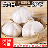 【百万单爆品】紫白皮蒜水果大蒜超市生鲜蔬菜调料即食蒜 【尝鲜】3头50g单果3.5-5cm