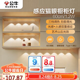 公牛（BULL）感应猫眼橱柜灯磁吸充电山丘光效展柜玄关氛围小夜灯 银60cm三色