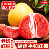 京地达柚子福建红心蜜柚子新鲜水果送礼净重4.5斤单果1.8斤源头直发包邮
