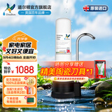 道尔顿（Doulton）净水器家用直饮英国进口 母婴定制款DCP104台上净水机保留矿物质天然滤材无双酚a宝妈母婴人群推荐 DCP104套机（自带/加配各1支和共2芯）